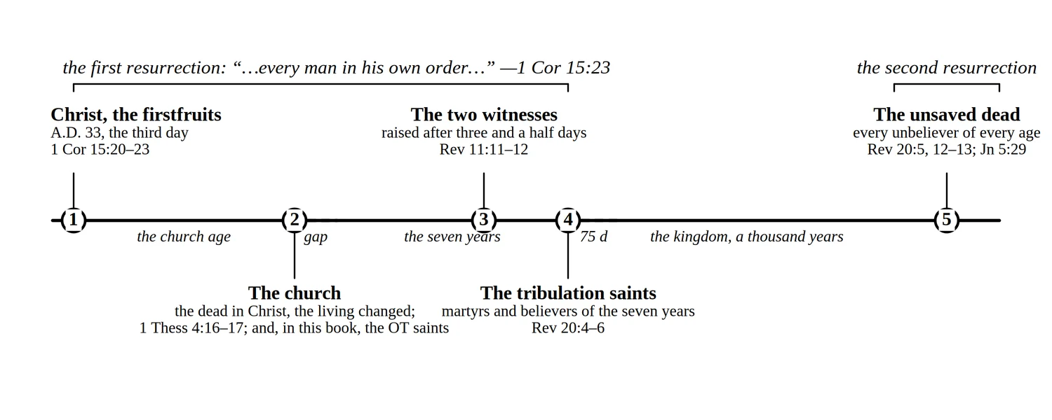 The resurrections in order. The first resurrection is completed at the return; the second comes a thousand years later, for judgment.